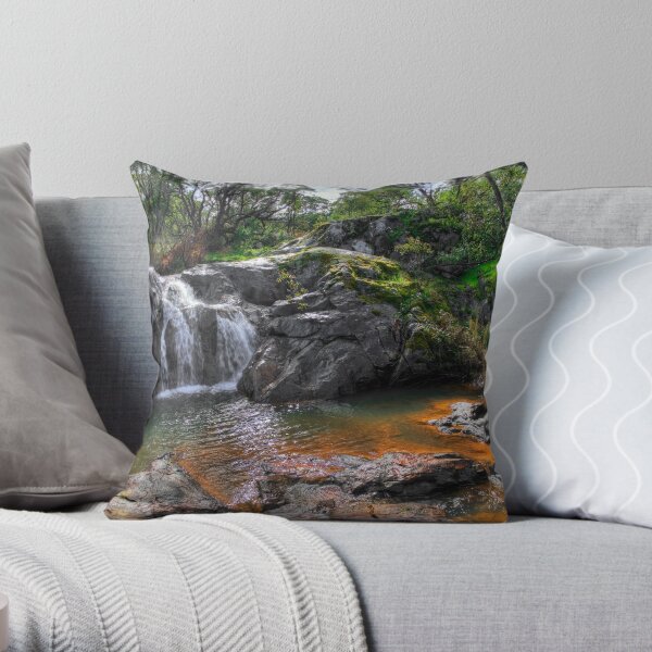 Serpentine River Throw Pillow