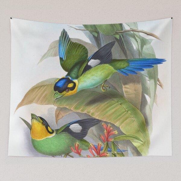 Item preview, Long-tailed broadbill - John Gould designed and sold by billythekidtees.