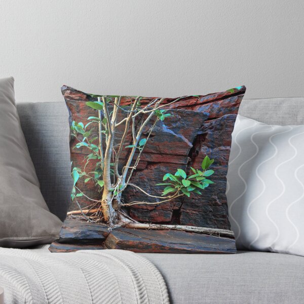 Item preview, Fig Detail, Joffre Gorge, Karijini NP designed and sold by markboyle.
