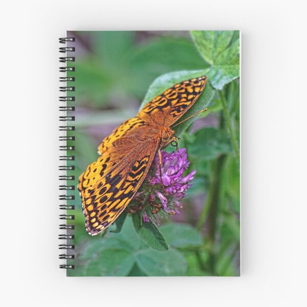 Item preview, Lepidoptera designed and sold by Lanis Rossi.