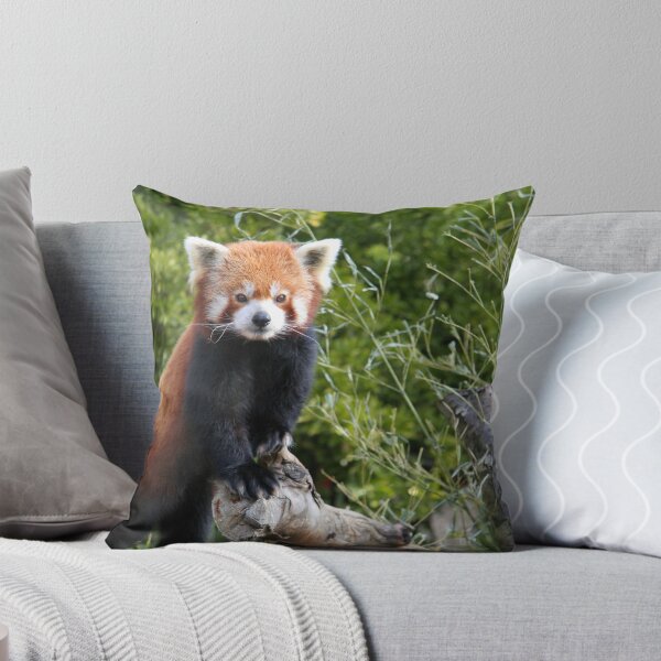 Item preview, Red Panda designed and sold by MagnusAgren.