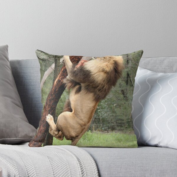 Item preview, Lion's can climb tree's designed and sold by Paul Jeston.