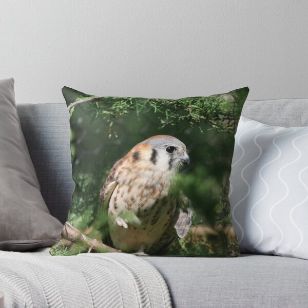 Artikelvorschau, American Kestrel entworfen und verkauft von Tigris.