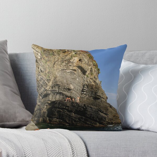 Item preview, Cinque Terre Locals designed and sold by Antwon.
