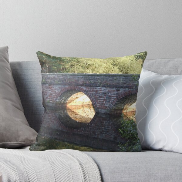 Item preview, Ever Decreasing Circles designed and sold by Paul Gibbons.