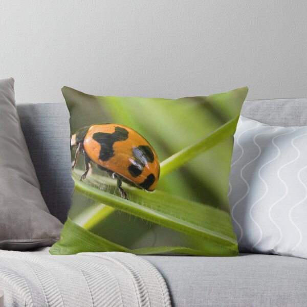 Item preview, Lady designed and sold by thorley.