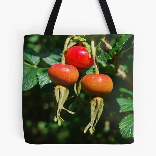 Item preview, Rose Hips designed and sold by shakey.