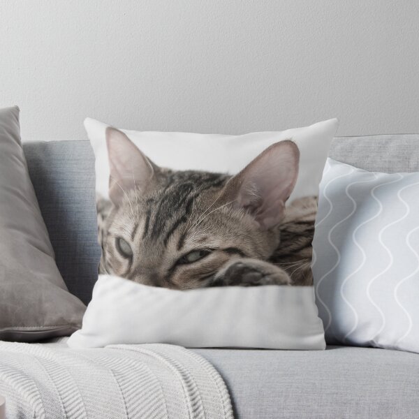 Item preview, Can't you see we're trying to sleep designed and sold by Flibble.