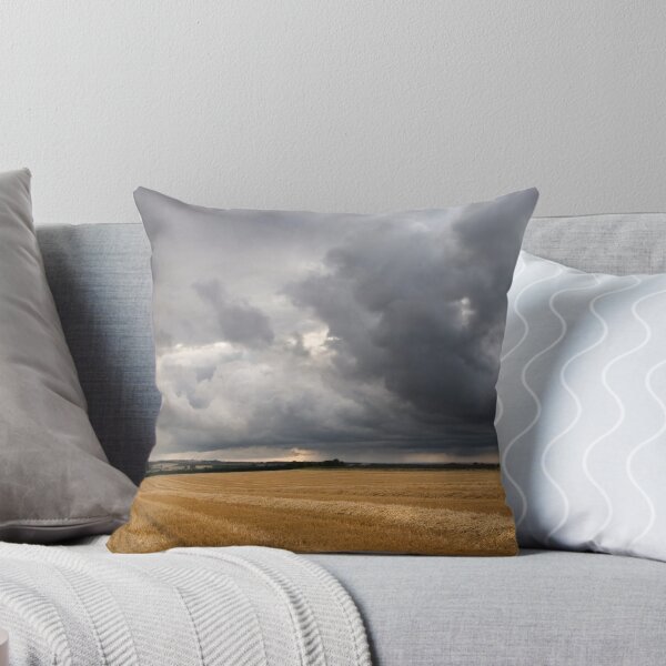 Item preview, Miles from home and certain to get drenched designed and sold by Flibble.
