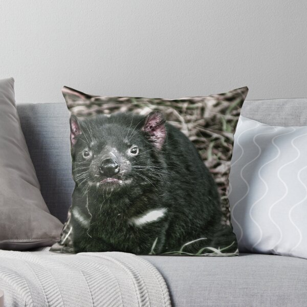 Item preview, Demonio de Tasmania designed and sold by Kelly McGill.