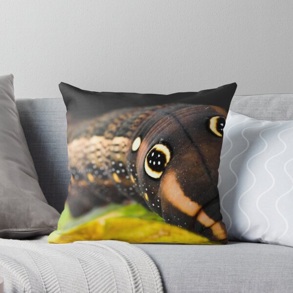 Item preview, Vine Hawk Caterpillar designed and sold by Shane Howlett.