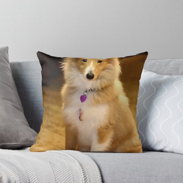 Artikelvorschau, Sheltie entworfen und verkauft von Moth.