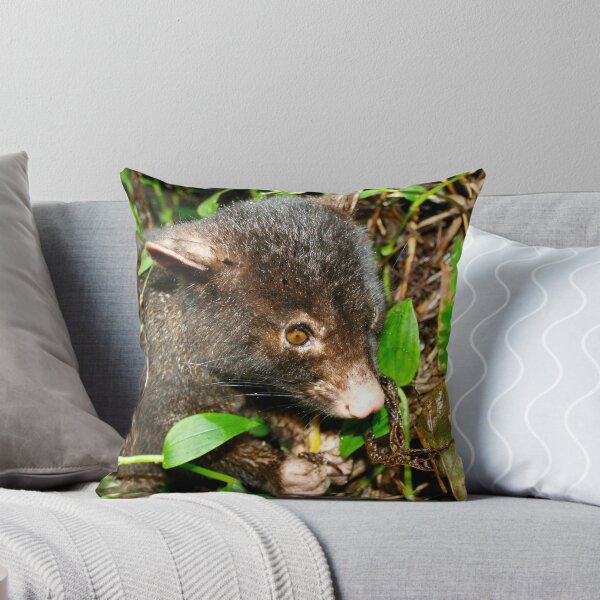 Artikelvorschau, Mountian Brushtail Possum entworfen und verkauft von Brett Habener.