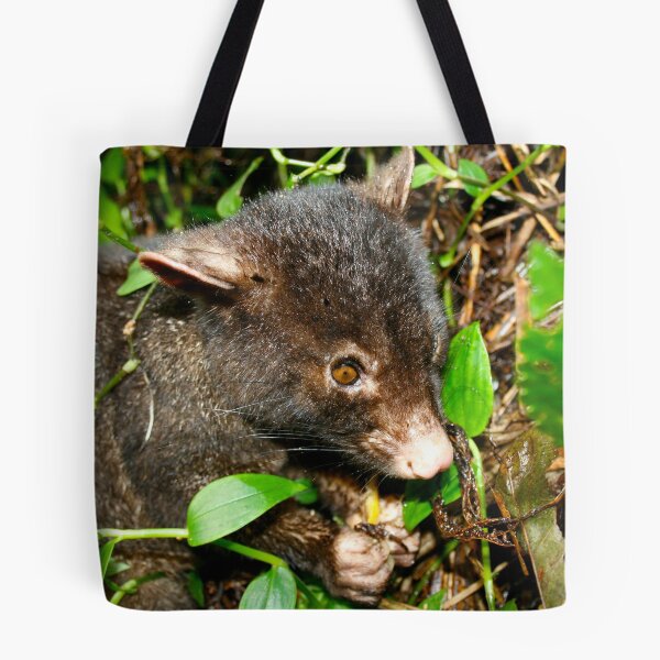 Item preview, Mountian Brushtail Possum designed and sold by Brett Habener.