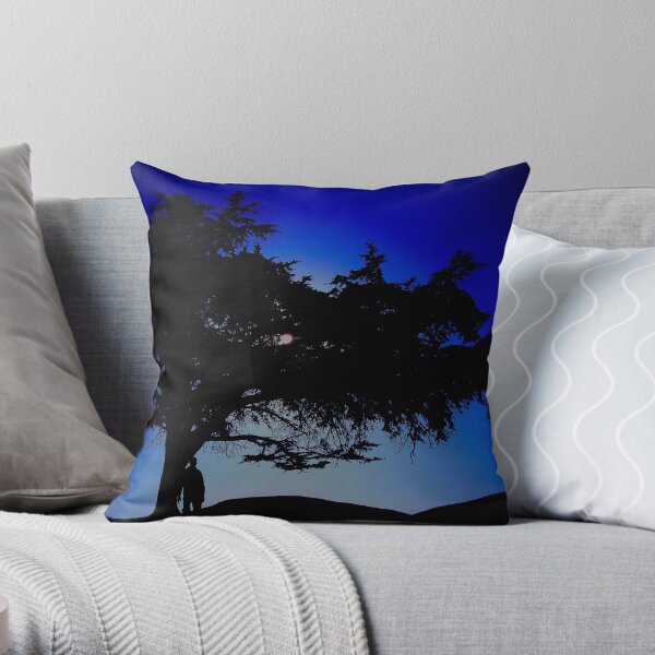 The 25 Year Visit Throw Pillow