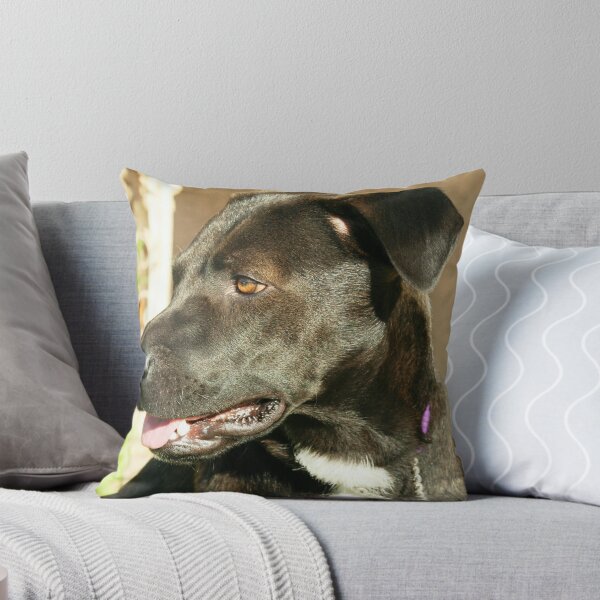 Item preview, Looking designed and sold by royce.
