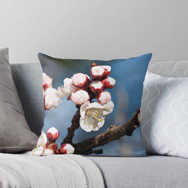Item preview, Apricot Blossoms designed and sold by James  Messervy.