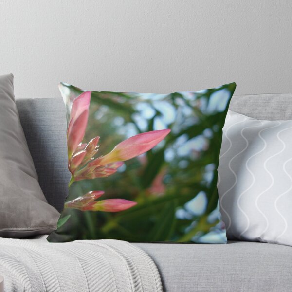 Item preview, just starting... designed and sold by Rebecca Garibay Photography.