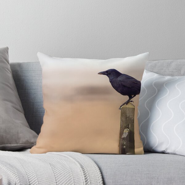 Aperçu de l'œuvre Crow créée et vendue par JamieP.