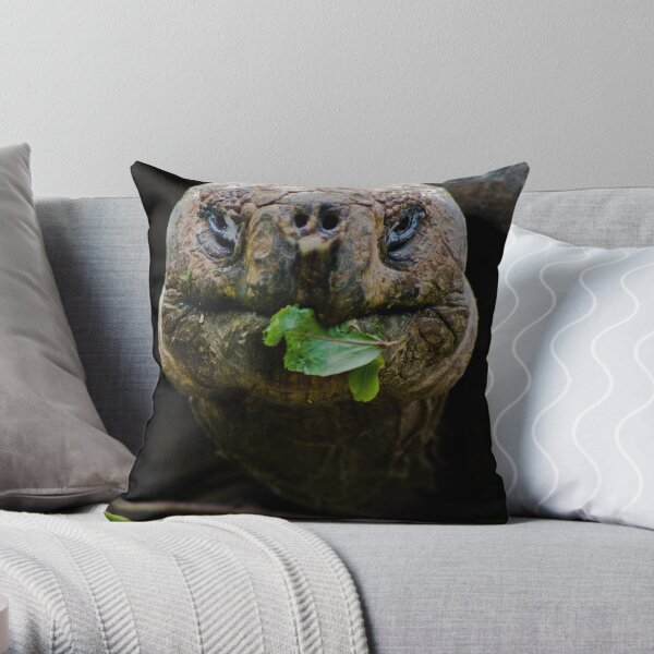 Ancient Throw Pillow