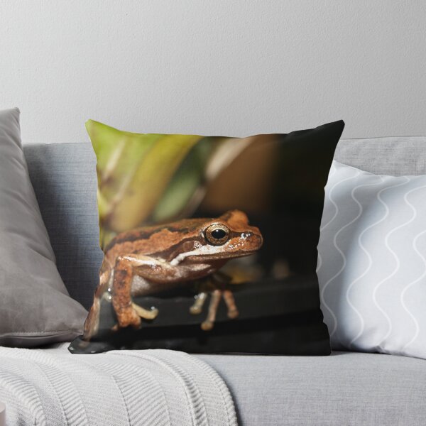 Aperçu de l'œuvre Froggy créée et vendue par yamihere.