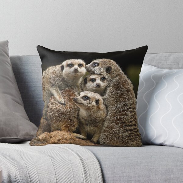 Meerkats Throw Pillow