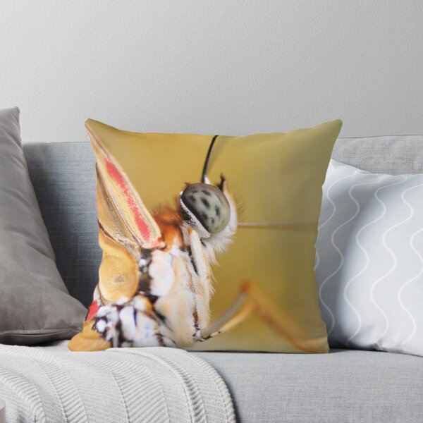 Item preview, Butterfly Eye designed and sold by stetre76photo.