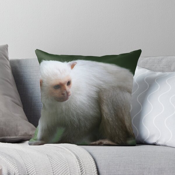 Item preview, Marmosette designed and sold by Moth.