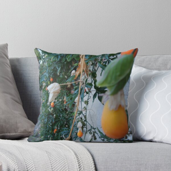 Item preview, orenge designed and sold by Rebecca Garibay Photography.