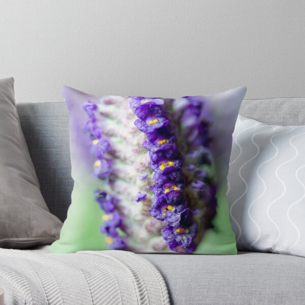 Artikelvorschau, Lavender Garden entworfen und verkauft von Josh Prior.