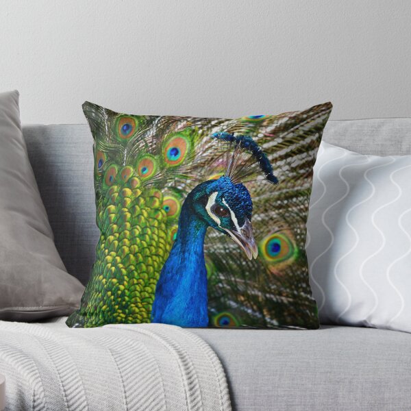 Peacock Throw Pillow