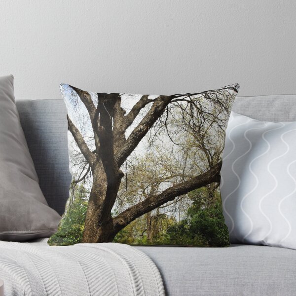 Item preview, Albury Botanic Gardens designed and sold by Darren Stones.
