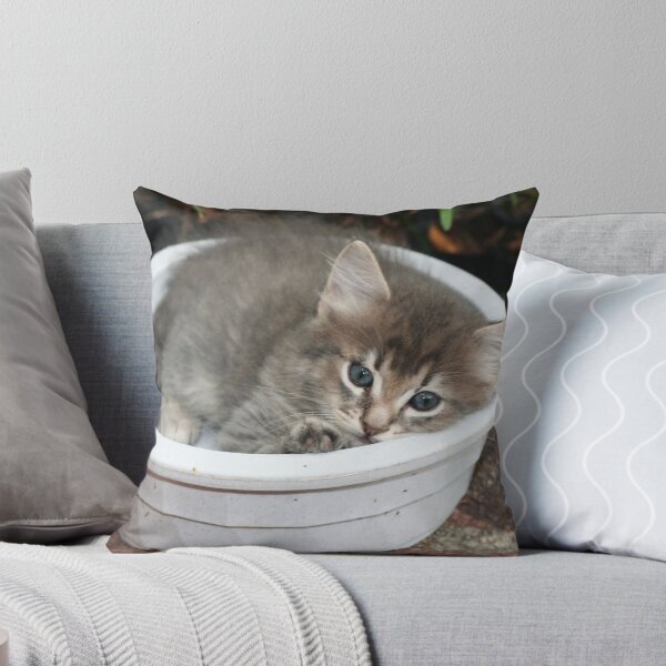 Item preview, bowl of kitty designed and sold by daniels.
