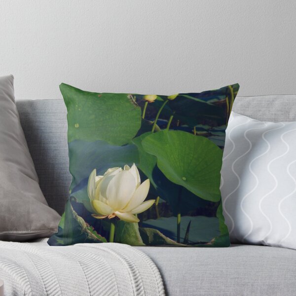 Artikelvorschau, Water Lilies entworfen und verkauft von Paul S.  Atkinson.