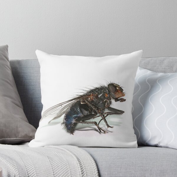 Item preview, FLY designed and sold by ANDIBLAIR.