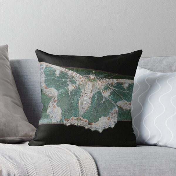 Item preview, night wings designed and sold by photos by rae.