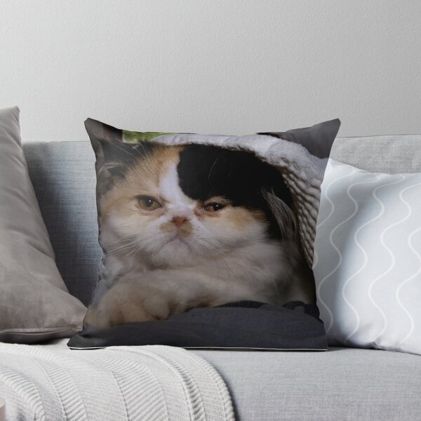 Item preview, Persian kitten designed and sold by JamieP.