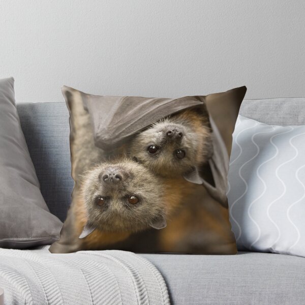 Item preview, Hang In there designed and sold by DawsonImages.