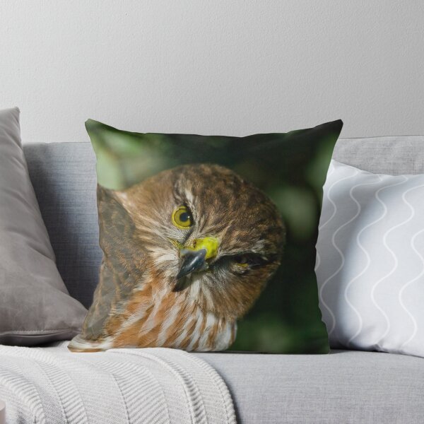 Item preview, Sharp Shinned Hawk (juvenile) designed and sold by Leisa  Hennessy.