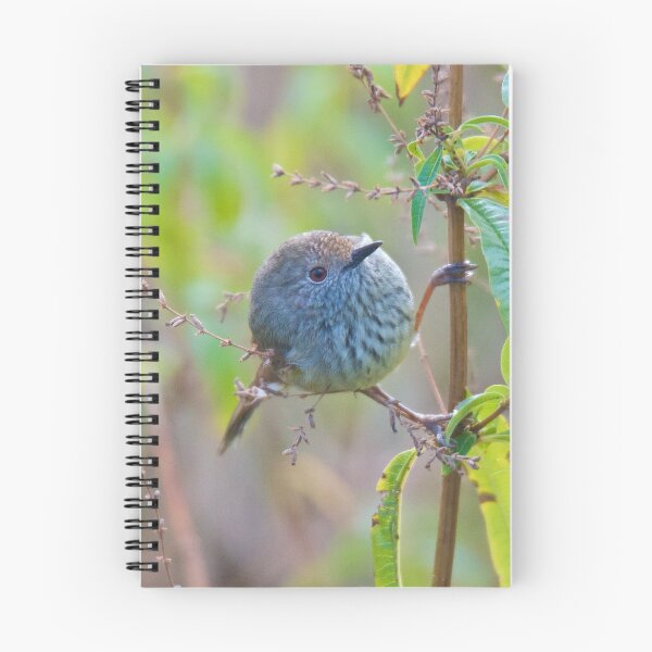 Item preview, THORNBILL ~ Brown Thornbill 5qMpwzSL by David Irwin designed and sold by tasmanianartist.