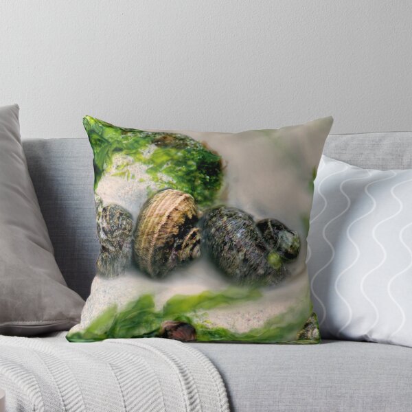 Item preview, Shells designed and sold by alistair mcbride.