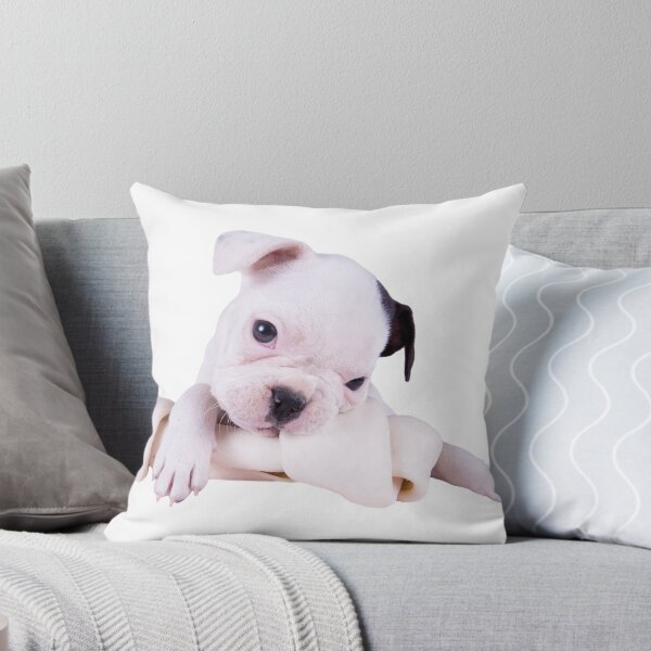 Item preview, Little Bulldog , Big Bone designed and sold by idapix.