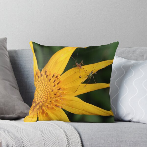 Item preview, resting place designed and sold by theblackazar.