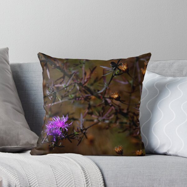 Item preview, Late designed and sold by walks.