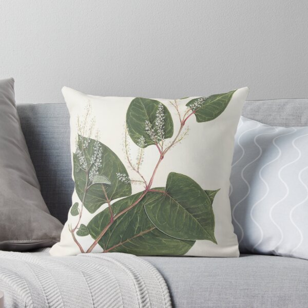 Item preview, Reynoutria japonica designed and sold by Sue Abonyi.