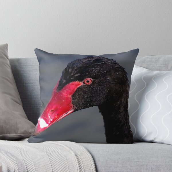Aperçu de l'œuvre Black Swan créée et vendue par Ben Shaw.