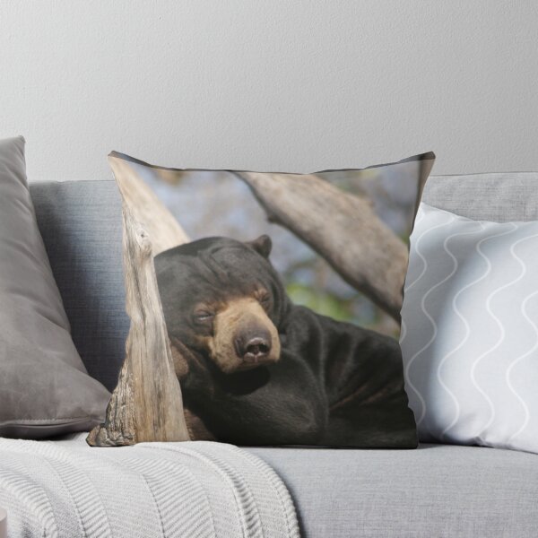 Artikelvorschau, Sleeping Bear entworfen und verkauft von DrPaulDJ.