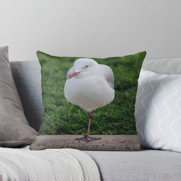 Artikelvorschau, Life as a Gull has its risks entworfen und verkauft von junjari.