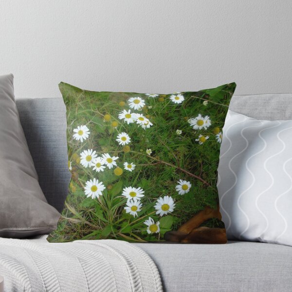 Item preview, Wild Daisies of Ireland designed and sold by anamcara.