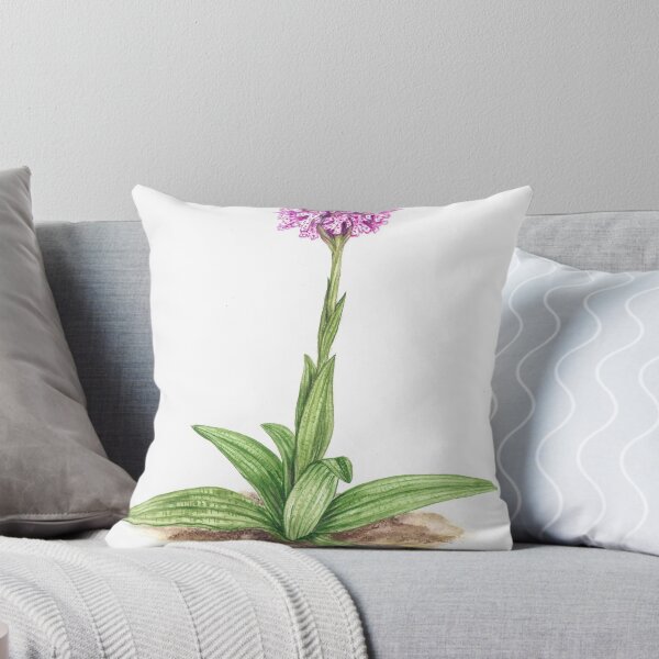 Item preview, Three-toothed Orchid  - Orchis tridentata designed and sold by Sue Abonyi.